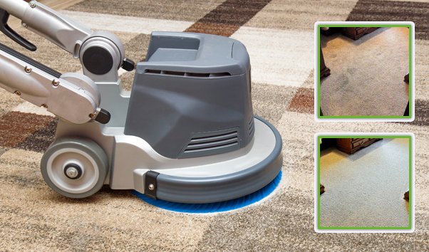 Professional Carpet Cleaners