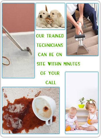Reliable Carpet Stain Removal